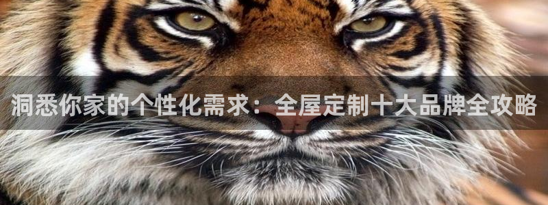 xbb电子游艺