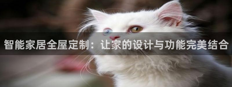 BB电子游戏钱得钱