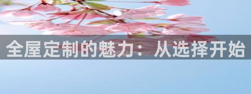 BB电子锁怎么接电