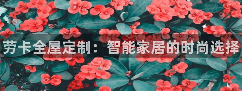 BB电子骗局